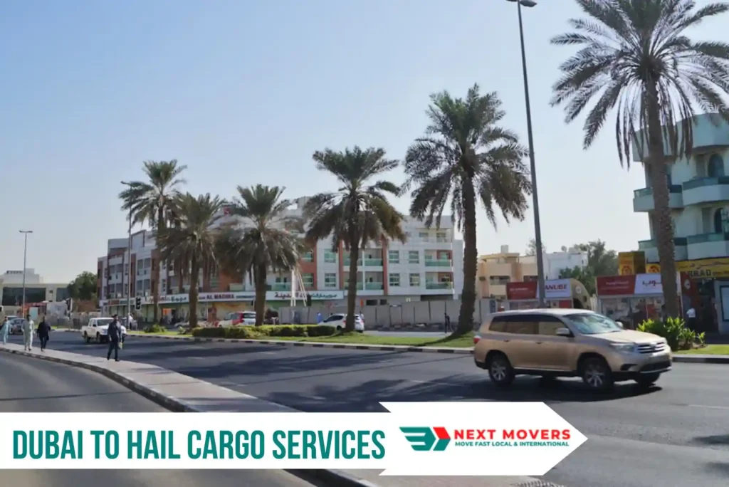 Dubai to Hail Cargo Services